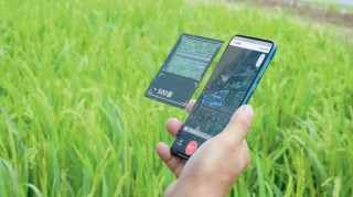 无声的灌溉：小微金融里的韧性中国