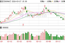 锡业股份：董事会审议通过《云南锡业股份有限公司2025年度董事会工作报告》等多项议案