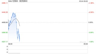 世界黄金协会重磅警告：金价暴跌令人想起2008与2020年危机时刻，技术面亮起危险信号