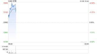 快讯：伦敦铜价涨幅扩大突破每吨13100美元，续创新高