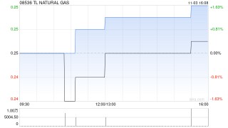 TL NATURAL GAS拟与华特动力及税阳成立合营企业
