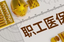 如何变更车主及保险？变更车主和保险有哪些步骤和要求？