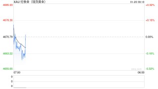 见证历史！黄金白银又新高