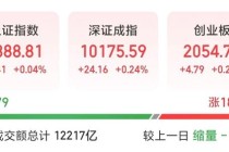 净流入A股第一！002463，涨停