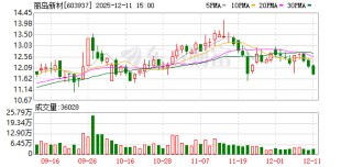 丽岛新材：截至2025年12月10日公司股东人数为13831户