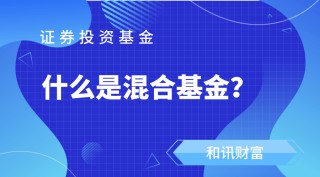 如何在基金投资中构建合理的策略？这些策略怎样有效实施？