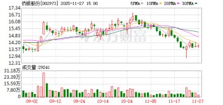 侨银股份：公司及控股子公司没有发生逾期担保
