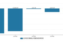 年亏数千万，连续五年扣非为负，惠发食品深陷“扩张困局”