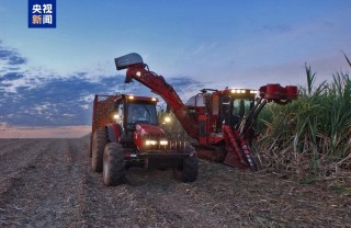 中东冲突推高能源成本 全球食品价格3月上涨