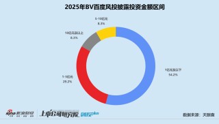 2025一级市场回顾 | BV百度风投：下半年活跃度明显跃升 七成投向人工智能赛道