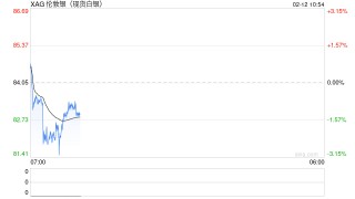 世界白银协会发声，银价大反弹，多只概念股获融资客加仓