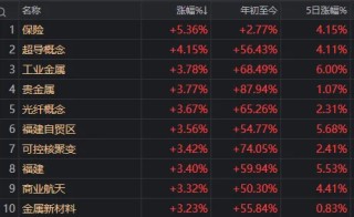 摩尔高开低走日，A股延续反弹时