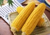 期货玉米价格较高的原因是什么？如何看待期货玉米的价格走势？