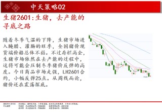 中天期货:商品指数板块分化小反弹 豆粕承压回落