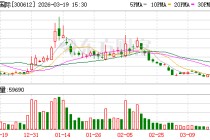 宣亚国际：公司无逾期对外担保