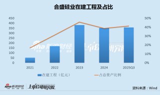 合盛硅业定增58亿背后：曾募资95亿逆势扩产半数产能闲置 在建工程超350亿重要项目批量停工