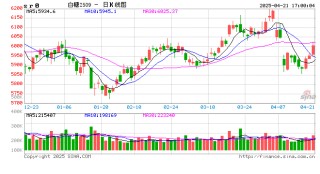 长安期货梁安迪：强现实与弱预期，郑糖短多长空思路对待