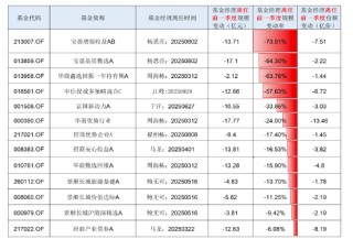 基金生态隐秘的角落：“机构先跑”伤害了谁？