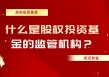 黄金ETF与黄金基金哪个收益更高？
