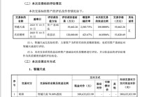 威帝股份再推10.95亿元收购，董事郁琼再次反对，一家公司已是第四次试图改写主业命运 | 长三角资本局