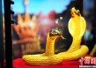 如何探究黄金价格的走势特点？这种走势特点如何助力投资成功？