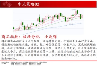 中天期货:商品指数板块分化小反弹 豆粕承压回落