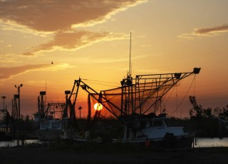 如何理解特定原油合约的市场标识？这些标识对交易有何指导意义？