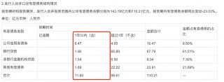 华宇集团2024年净利缩水近九成，57岁董事长蒋杰曾是建筑公司施工员
