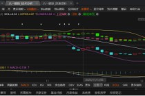 八一钢铁未披露非经营性资金往来的关联交易被处罚