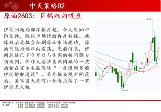 中天期货:焦煤开始走高 棕榈调整