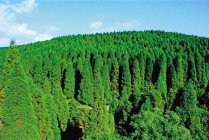 如何理解楼盘独特印象？独特印象对居住有何影响？