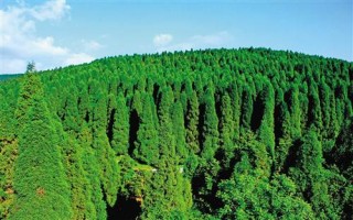 如何理解楼盘独特印象？独特印象对居住有何影响？