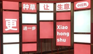 为“淘天”种草，小红书留下了什么？