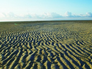 如何处理土地收回相关事务？不同地区土地收回的处理方式有哪些？