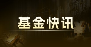 嘉实中证 500ETF 联接 A：净值与持仓解析