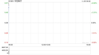华检医疗于11月24日斥资1247.24万港元回购202.7万股