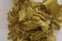 豆粕期权在哪看现货？看现货对期权交易有何帮助？