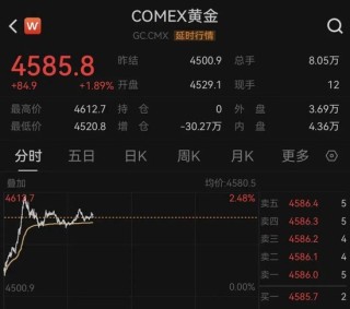 国际金价一度突破4600美元大关 ，后市怎么走？