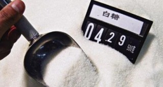 白糖期权限仓情况怎样了解？了解限仓情况对交易有何帮助？