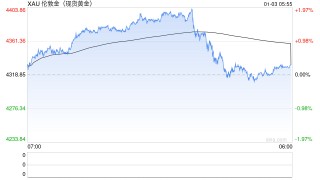 2025年黄金市场回顾与展望