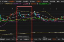 ST尔雅被预罚：实控人1亿占款曝光，受损股民可索赔