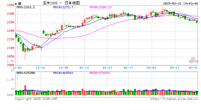玉米:上量持续 盘面回调 第2张 玉米:上量持续 盘面回调 第2张
