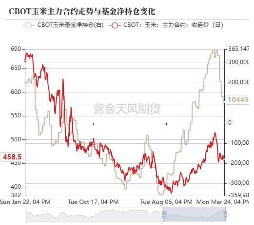 玉米:上量持续 盘面回调 第12张 玉米:上量持续 盘面回调 第12张