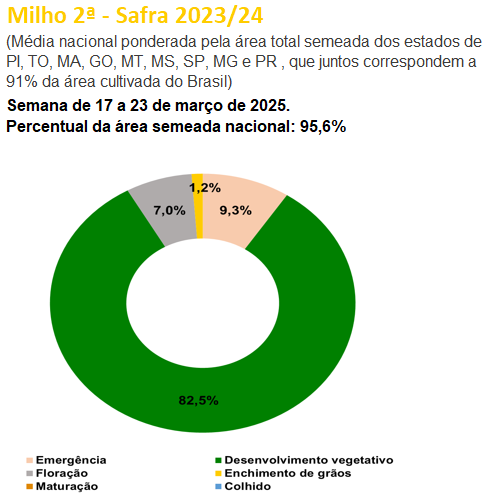 玉米:上量持续 盘面回调 第17张 玉米:上量持续 盘面回调 第17张