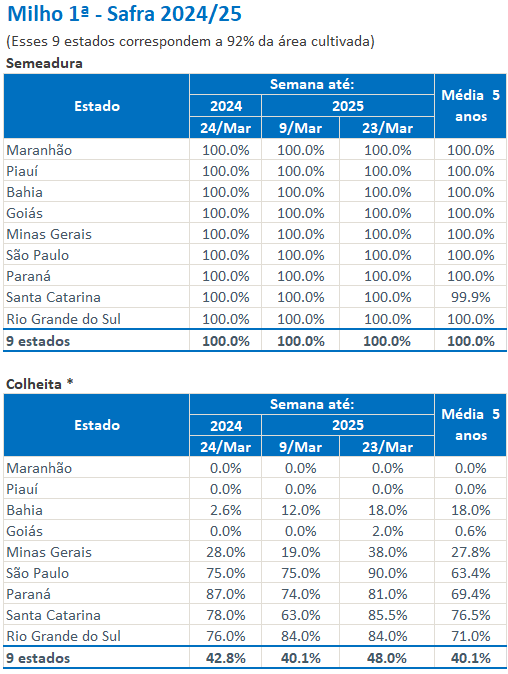 玉米:上量持续 盘面回调 第18张 玉米:上量持续 盘面回调 第18张