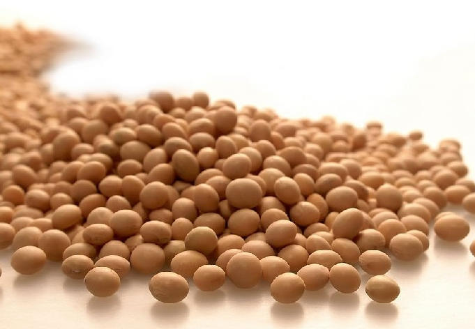 正常的大豆豆帕价格如何确定?确定这种价格的方法存在哪些局限性? 第1张 正常的大豆豆帕价格如何确定?确定这种价格的方法存在哪些局限性? 第1张