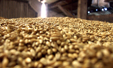 豆粕定义是什么?它的价格波动受哪些因素影响? 第1张 豆粕定义是什么?它的价格波动受哪些因素影响? 第1张