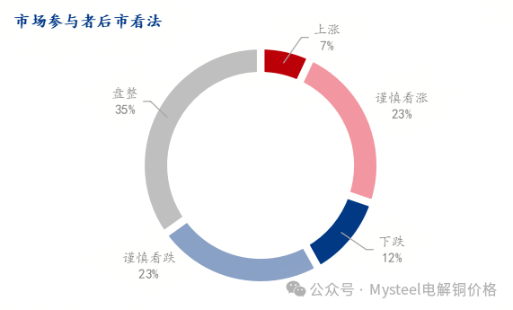 Mysteel调研：中国铜市情绪调研（2025.5.9）  第4张