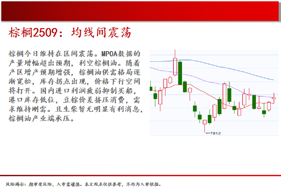 中天期货:棕榈均线间震荡 纯碱弱势格局依旧  第13张