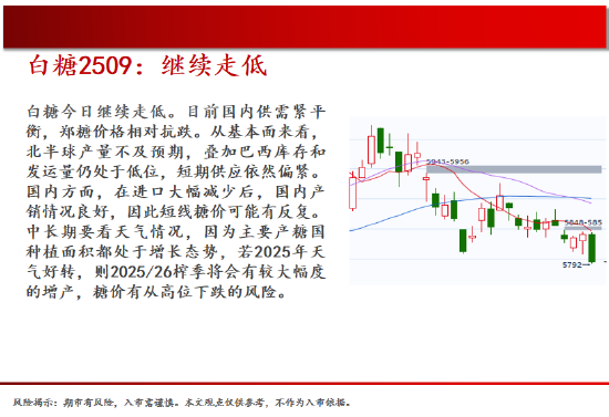 中天期货:棕榈均线间震荡 纯碱弱势格局依旧  第16张